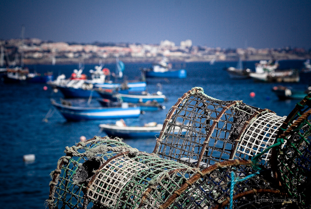 Fischeeihafen in Cascais an Portugals Atlantikküste bei Lissabon.