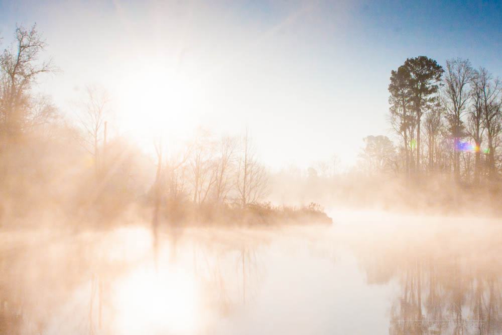 Morgennebel in der Kanalsektion des Ten-Tom in Mississippi,USA