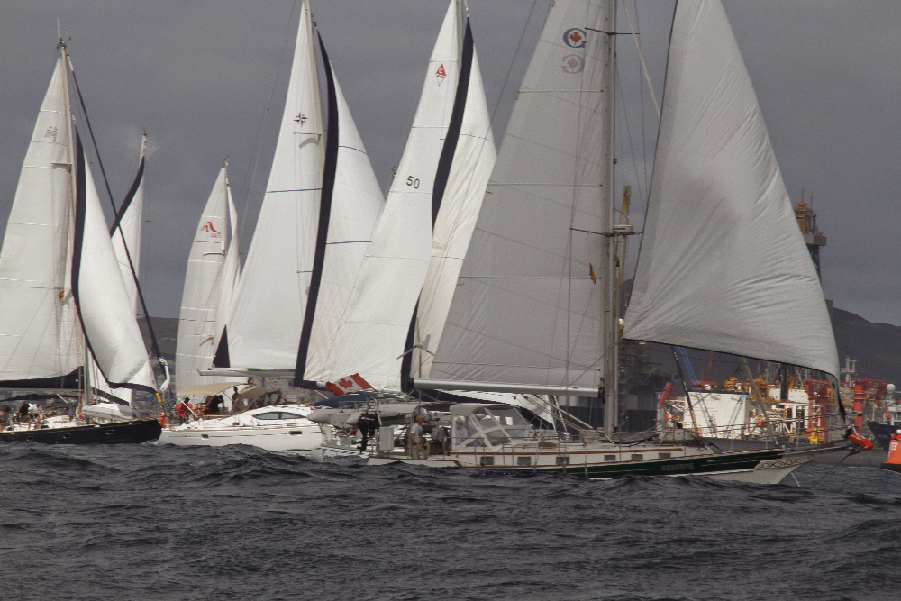Sie segeln wieder: ARC 2014 gestartet